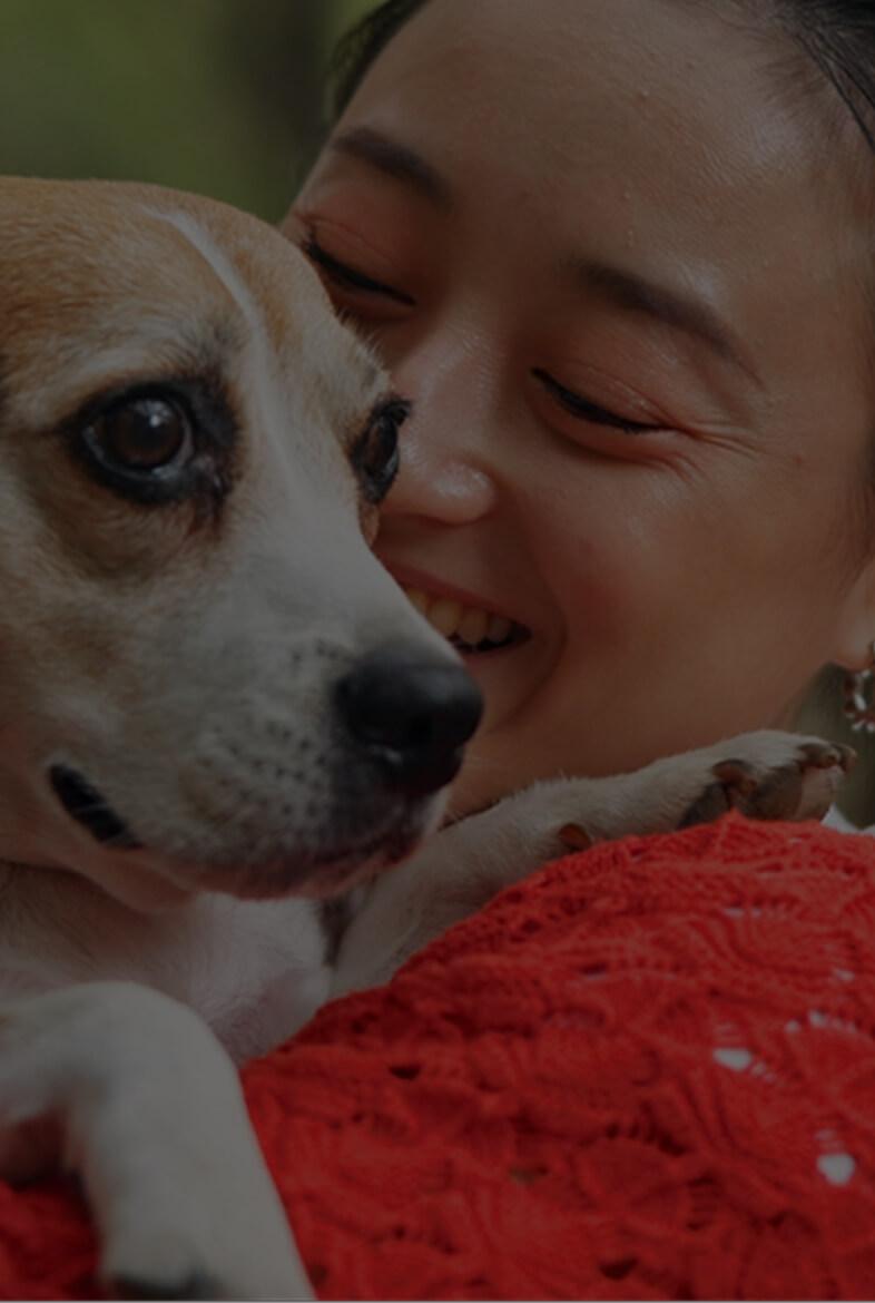 Raleigh Community Animal Hospital
